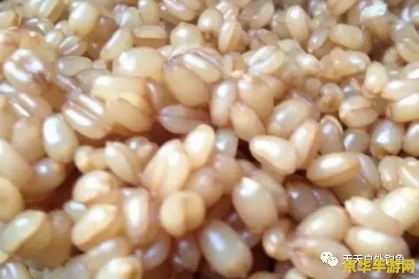 原神里的马尾鱼饵怎么做 原神里的马尾鱼饵制作方法