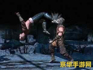 真人快打x 真人快打X：终极格斗盛宴
