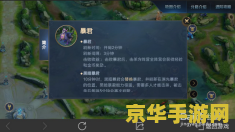 王者荣耀主播都怎么看地图 王者荣耀主播如何高效利用地图信息，掌控全局