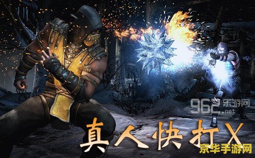 真人快打x 真人快打X：终极格斗盛宴