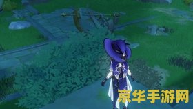 原神无人的小岛 探索原神无人的小岛：孤独与宝藏的交响