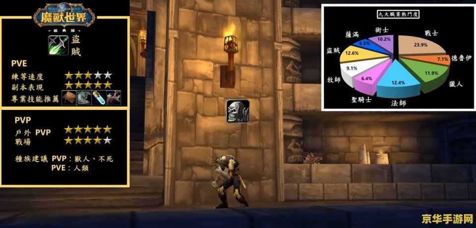 wow盗贼 魔兽世界：盗贼职业的深度剖析