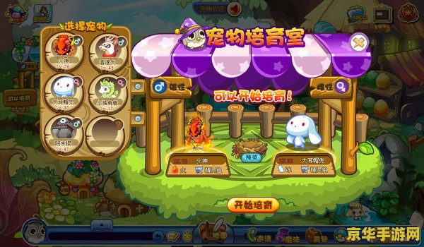 洛克王国宠物培育 洛克王国：深度探索宠物培育的奇幻之旅