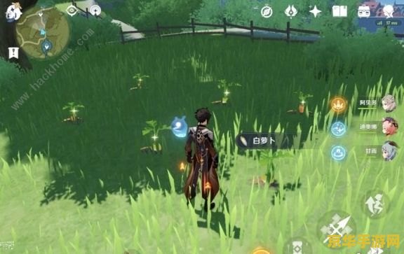 原神中白萝卜怎么获取 原神中白萝卜的获取方法 原神中白萝卜怎么获取 原神中白萝卜的获取方法