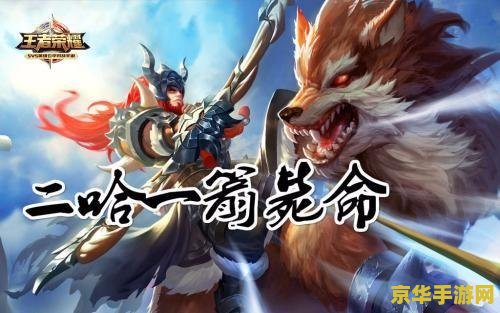 王者荣耀人物透明怎么解决 王者荣耀人物透明问题解决方案