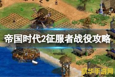 帝国时代2征服者秘籍 帝国时代2征服者秘籍全解析