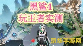 黑鲨更新王者荣耀怎么玩不了 <h3>黑鲨手机更新后王者荣耀无法运行问题解析及解决方案</h3>