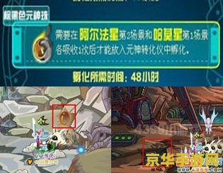 赛尔号远古迷宫怎么走 赛尔号远古迷宫探险指南