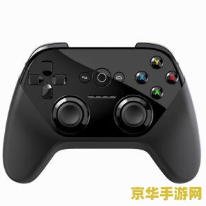 王者荣耀游戏手柄右手指向性技能怎么办 王者荣耀游戏手柄右手指向性技能操作指南