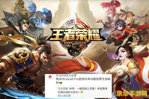 王者荣耀没人脸识别怎么办 王者荣耀无人脸识别解决方案与游戏体验探讨