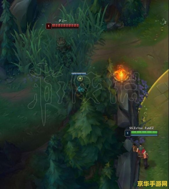 英雄联盟无限插眼 英雄联盟：揭秘无限插眼的战术策略与影响