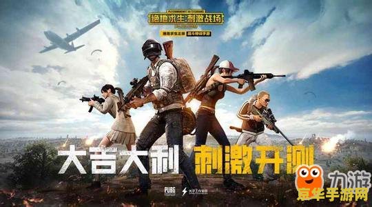 刺激战场电脑版 刺激战场电脑版：极致体验，重塑射击游戏新纪元