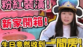 星之卡比呐喊团 星之卡比：梦幻呐喊团的奇妙冒险