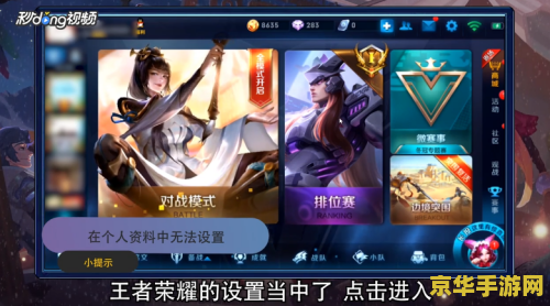 王者荣耀怎么设置不让访客 王者荣耀如何设置不让访客查看