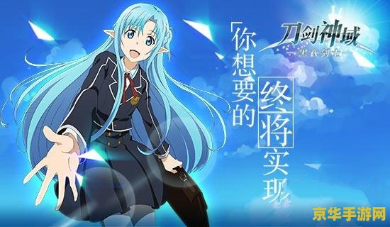 刀剑神域黑衣剑士 刀剑神域：黑衣剑士的冒险之旅
