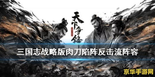 三国杀 盛大 三国杀盛大版：策略与激情的碰撞