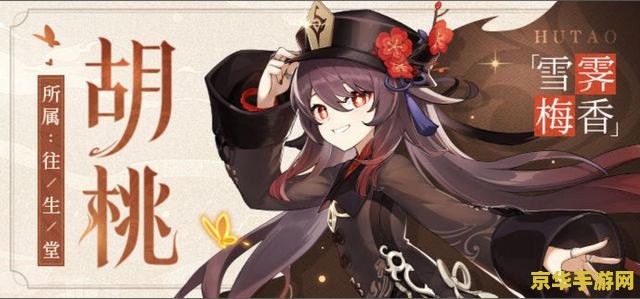 原神胡桃被 原神胡桃角色深度解析