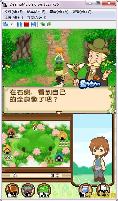 牧场物语双子村 牧场物语双子村：田园生活的双重魅力