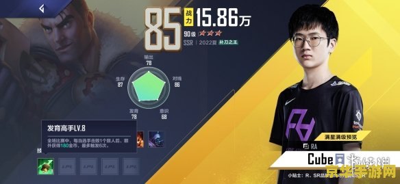 英雄联盟电竞经理是什么 英雄联盟电竞经理是什么