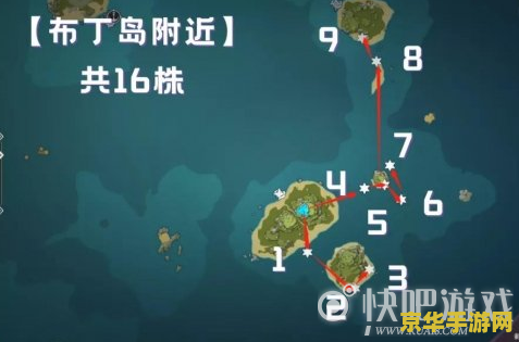 原神海灵芝海岛地图后就绝版 原神海灵芝：海岛地图限定资源深度解析