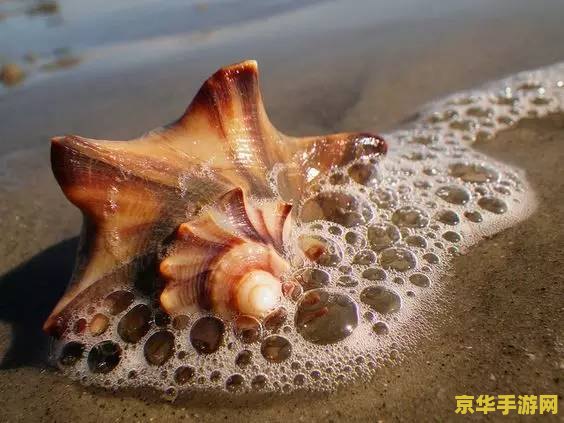 原神奇异的海螺能换什么 原神奇异的海螺能换什么