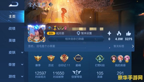 王者荣耀主页怎么不显示区排名 &lt;h1&gt;王者荣耀主页隐藏区排名方法&lt;/h1&gt;