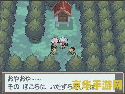 口袋妖怪金 &lt;h1&gt;口袋妖怪金：探索与收集的奇妙之旅&lt;/h1&gt;