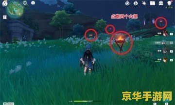 原神阵代屋敷解除下雨的任务 原神：阵代屋敷解除下雨任务的全面解析