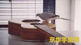 合金弹头之僵尸回归 合金弹头之僵尸回归游戏解析