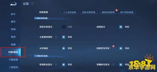 王者荣耀怎么不让队友看战绩 王者荣耀如何隐藏战绩以保护个人隐私