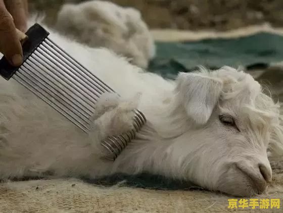 羊了个羊卡bug <h1>羊了个羊卡Bug分析与探讨</h1>