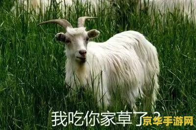 羊了个羊卡bug <h1>羊了个羊卡Bug分析与探讨</h1>