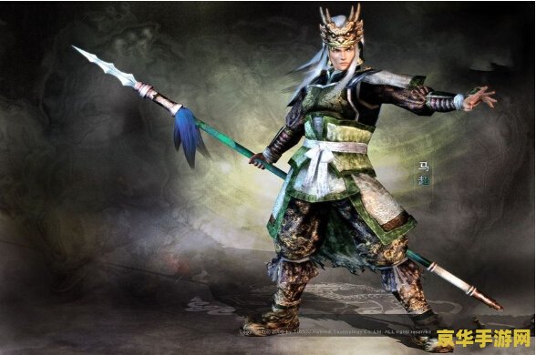 三国无双3 三国无双3：热血战场的史诗再现