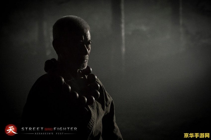 街头霸王暗杀拳2 街头霸王暗杀拳2:格斗之巅的再度燃烧 街头霸王暗杀拳2 街头霸王暗杀拳2:格斗之巅的再度燃烧