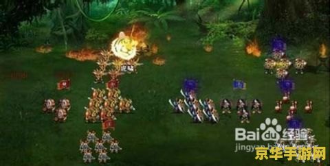 卧龙吟魏国 卧龙吟：魏国风云