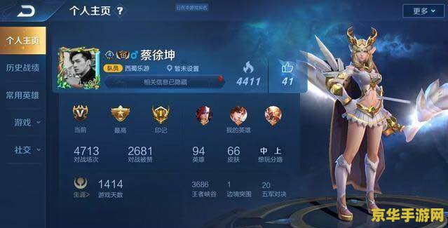 王者荣耀存在代充风险怎么办 王者荣耀存在代充风险应对策略