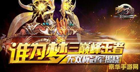 梦三国无双杯 梦三国无双杯：电竞盛宴，策略与激情的碰撞