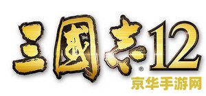 三国志12简体补丁 &lt;h3&gt;三国志12简体补丁详解&lt;/h3&gt;