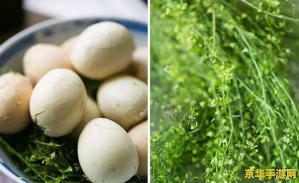 三月三地菜煮鸡蛋来历 三月三地菜煮鸡蛋来历 三月三地菜煮鸡蛋来历 三月三地菜煮鸡蛋来历