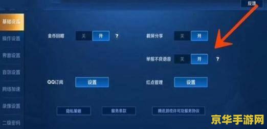 王者荣耀怎么举报语音骂人的 <h1>王者荣耀如何举报语音骂人行为</h1>