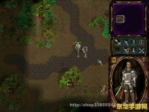 愤怒的魔法师2 愤怒的魔法师2：魔法世界的终极对决