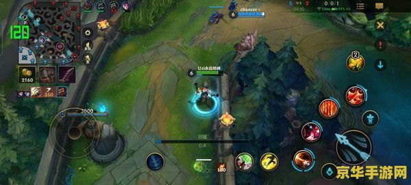 英雄联盟辅助猫咪 <h1>英雄联盟辅助猫咪深度解析</h1>