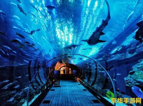 海底之心原神 海底之心：探索原神的神秘水域