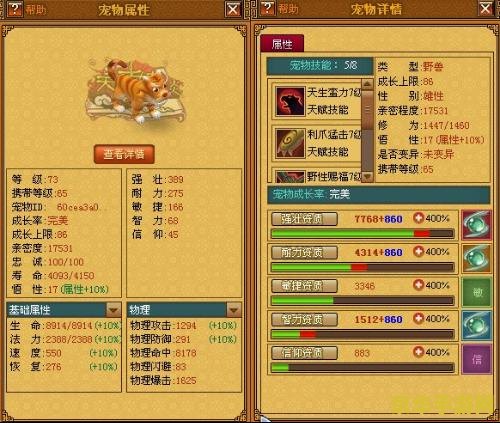 天书奇谈一飞冲天 天书奇谈：一飞冲天深度解析