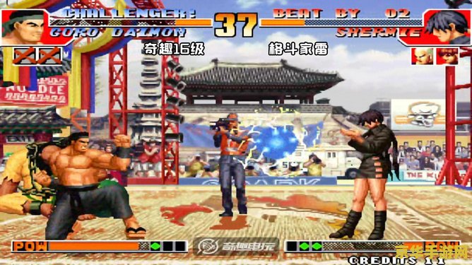 拳皇97夏尔米 拳皇97夏尔米:魅力与实力的双重化身 拳皇97夏尔米 拳皇97夏尔米:魅力与实力的双重化身