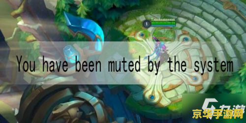 英雄联盟手游被禁赛了怎么办 英雄联盟手游被禁赛了怎么办