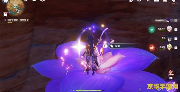 原神忧昙花怎么取 原神忧昙花采集攻略