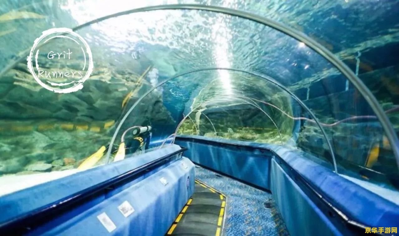海底世界总动员 海底世界总动员：探索神秘水域的奇幻之旅