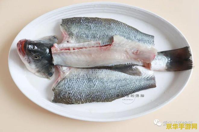 原神鱼肉在哪抓 原神鱼肉在哪抓