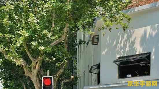 冒险岛好听的名字 冒险岛好听的名字